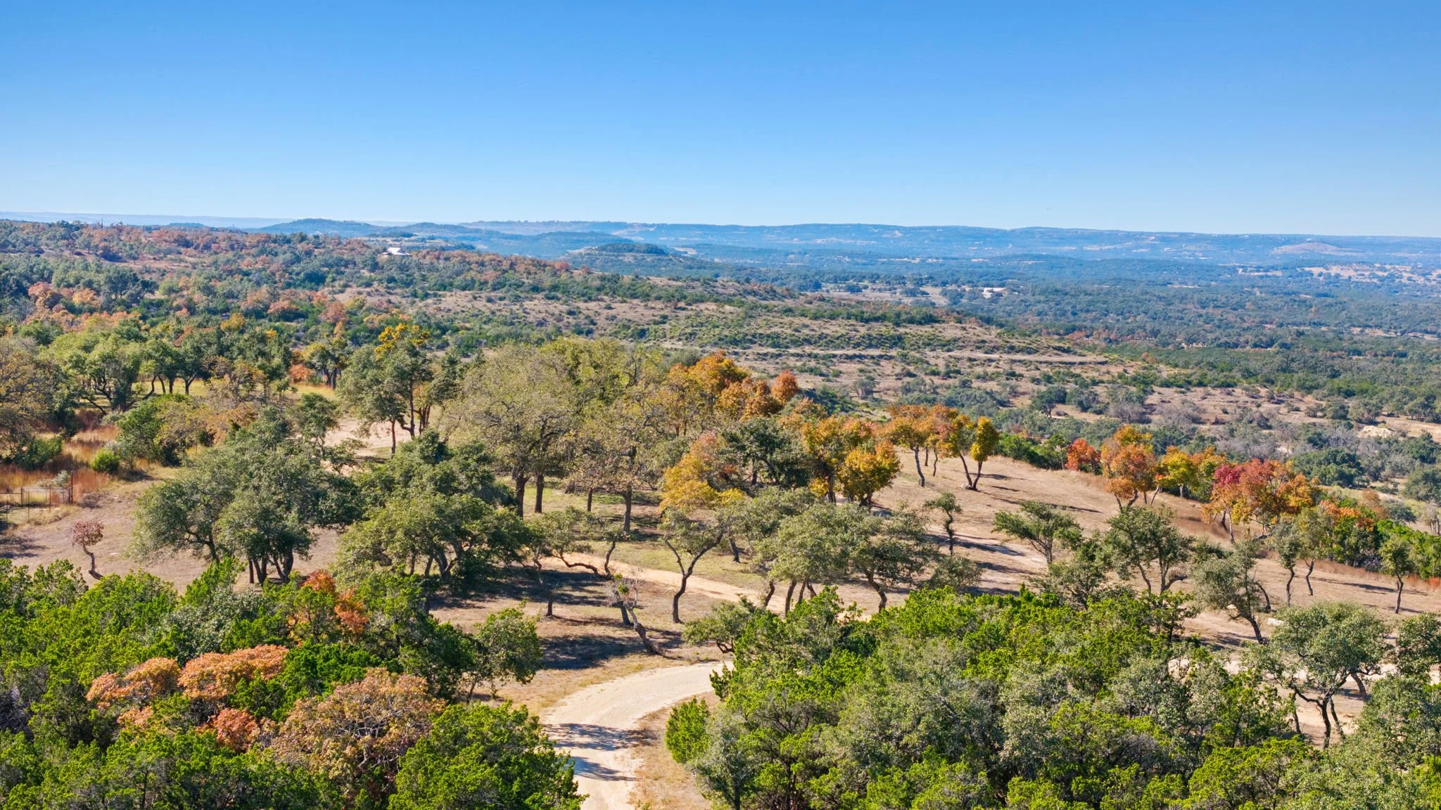 A landscape of rolling hills with scattered trees in shades of green, orange, and red under a clear blue sky.
