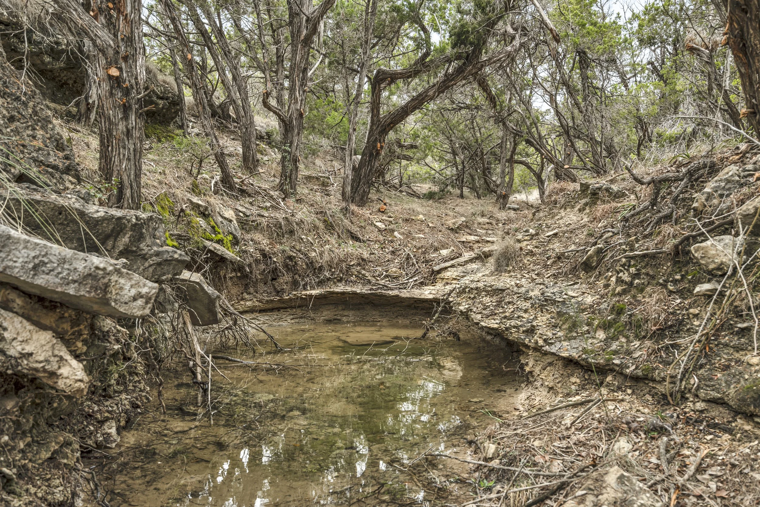 A dry creek bed with shallow water surrounded by rocky and uneven terrain with sparse trees and bushes in a natural outdoor setting.