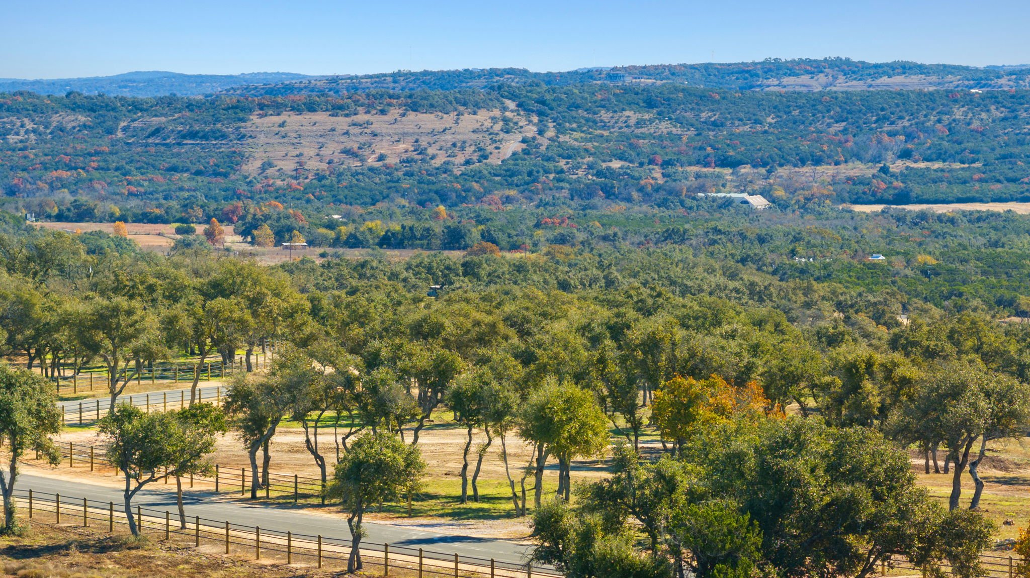 Scenic view of rolling hills covered in trees with a winding road in the foreground, under a clear blue sky.