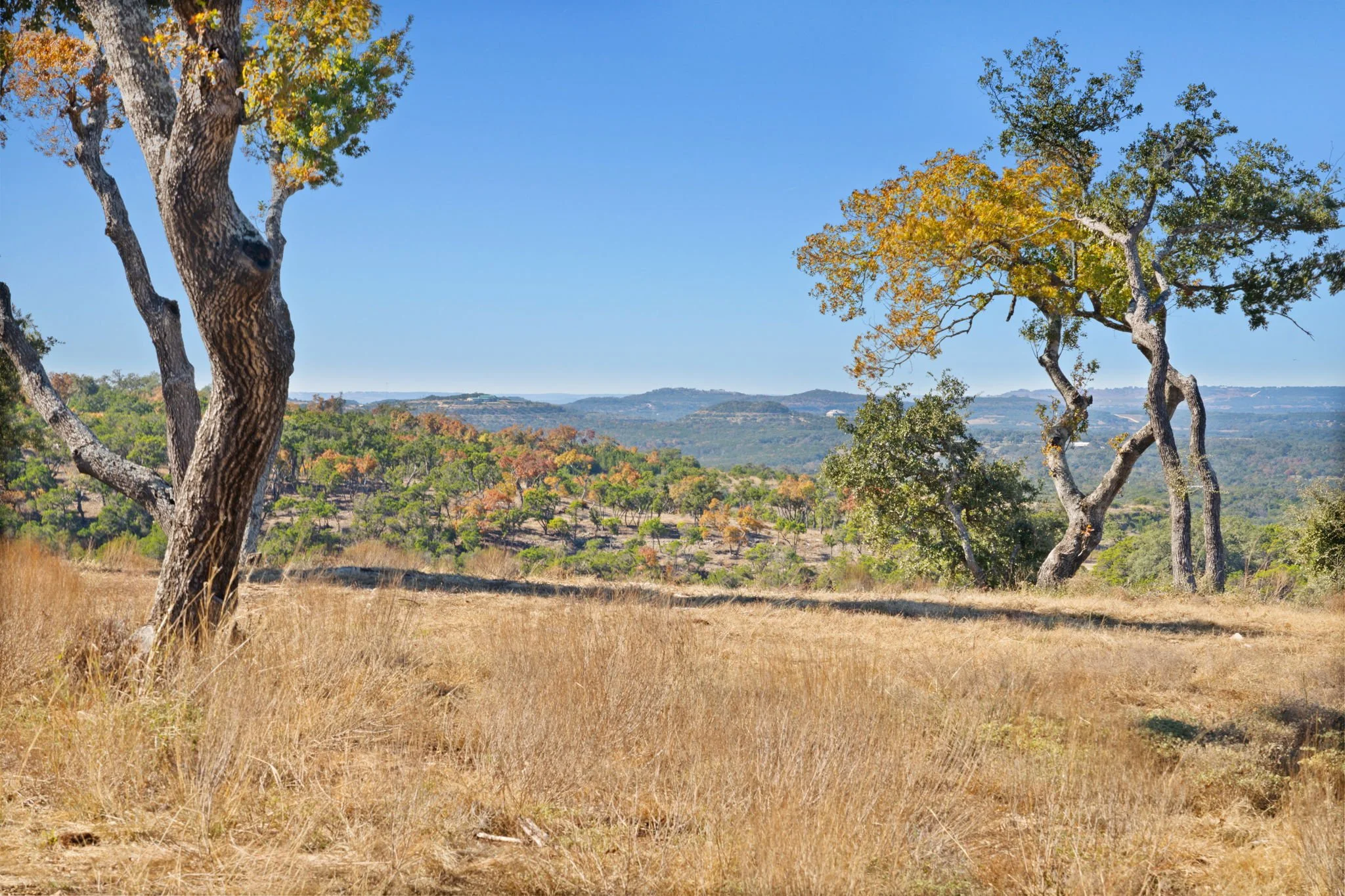 Open countryside with dry grass and trees under a clear blue sky.
