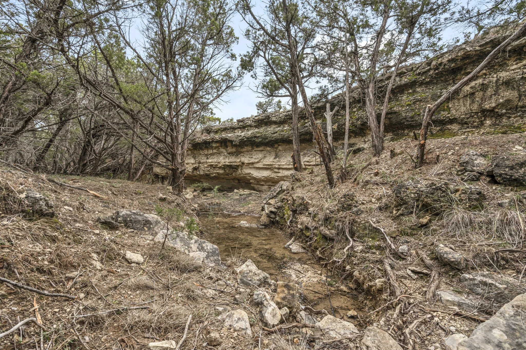 Dry creek bed in a wooded area with dirt and rocks, some trees with twisted branches, and rocky cliffs in the background.