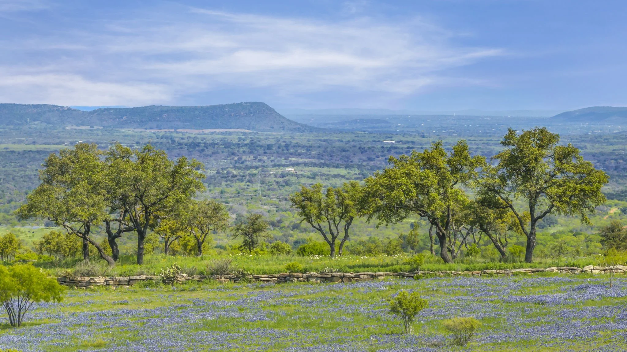 Landscape view of green trees, bluebonnets and other small wildflowers, and distant mountains on a clear day with blue sky and some clouds.