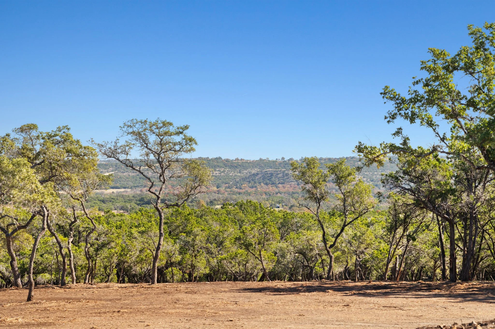 Open landscape with sparse trees on a dirt ground, rolling hills in the background, and a clear blue sky.