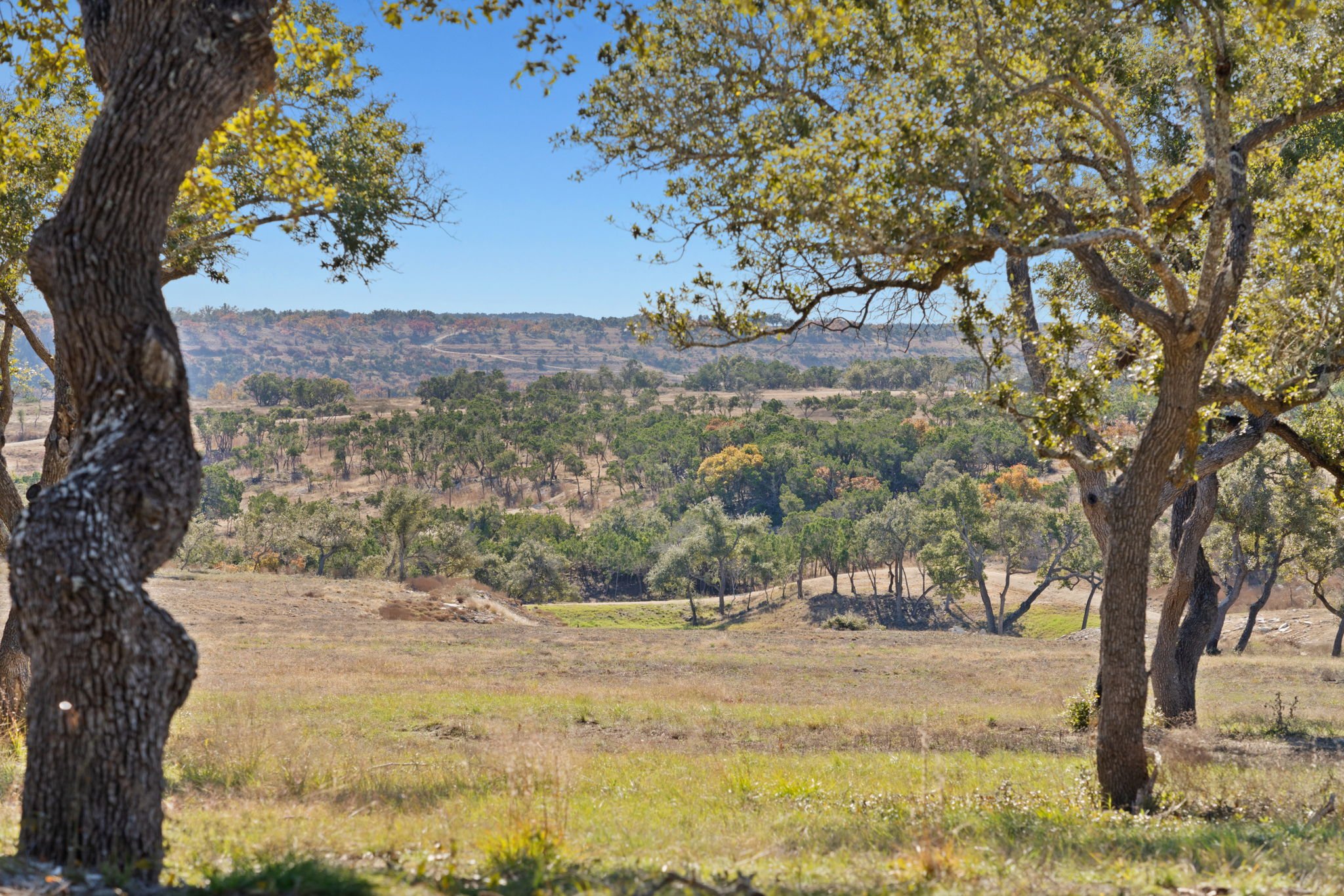 A scenic landscape with trees, rolling hills, and a clear blue sky.