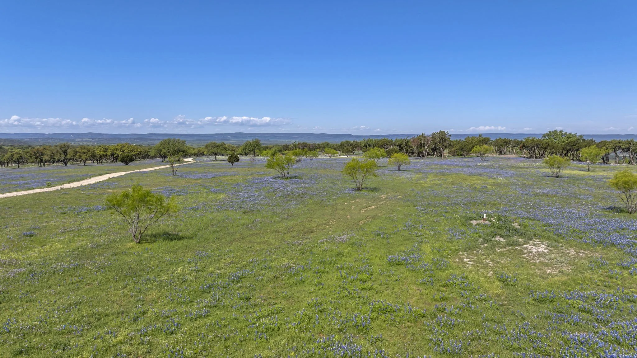 Open field with green grass, scattered trees, and patches of bluebonnet flowers. A dirt path meanders through the top of Big Mountain under a clear blue sky. Long distance views are visible on the horizon.