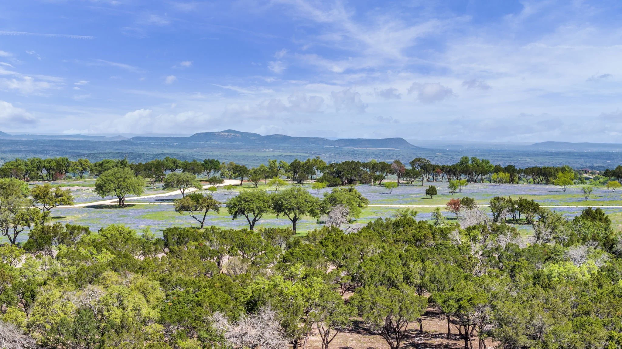 Scenic landscape of rolling hills and mountains in the distance with a forest and open fields in the foreground, under a blue sky with clouds.