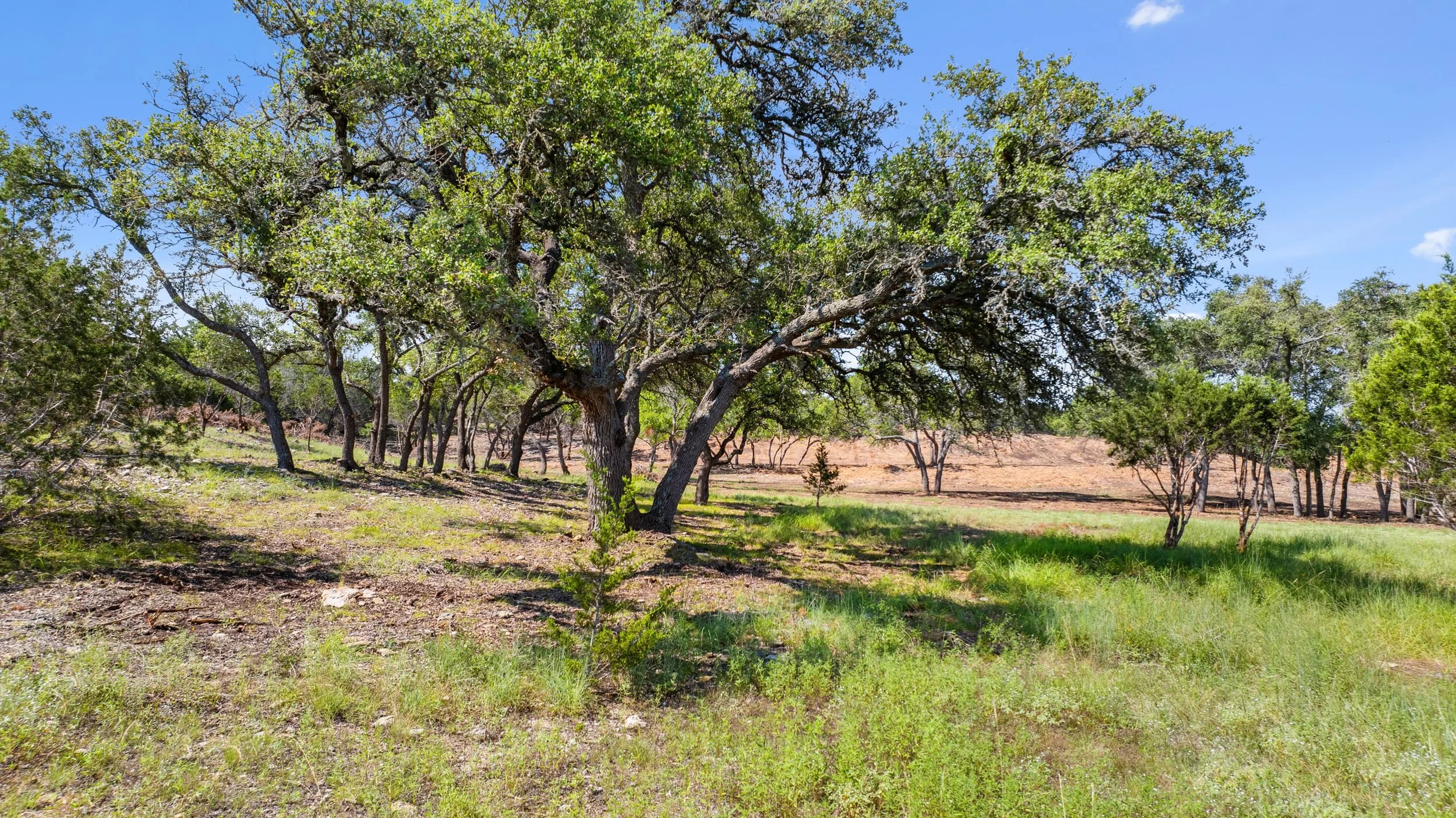 12 to 18 acre ranchette homesite with dense hardwood cover at RanchesAt Canyon Crossing Hays County Texas