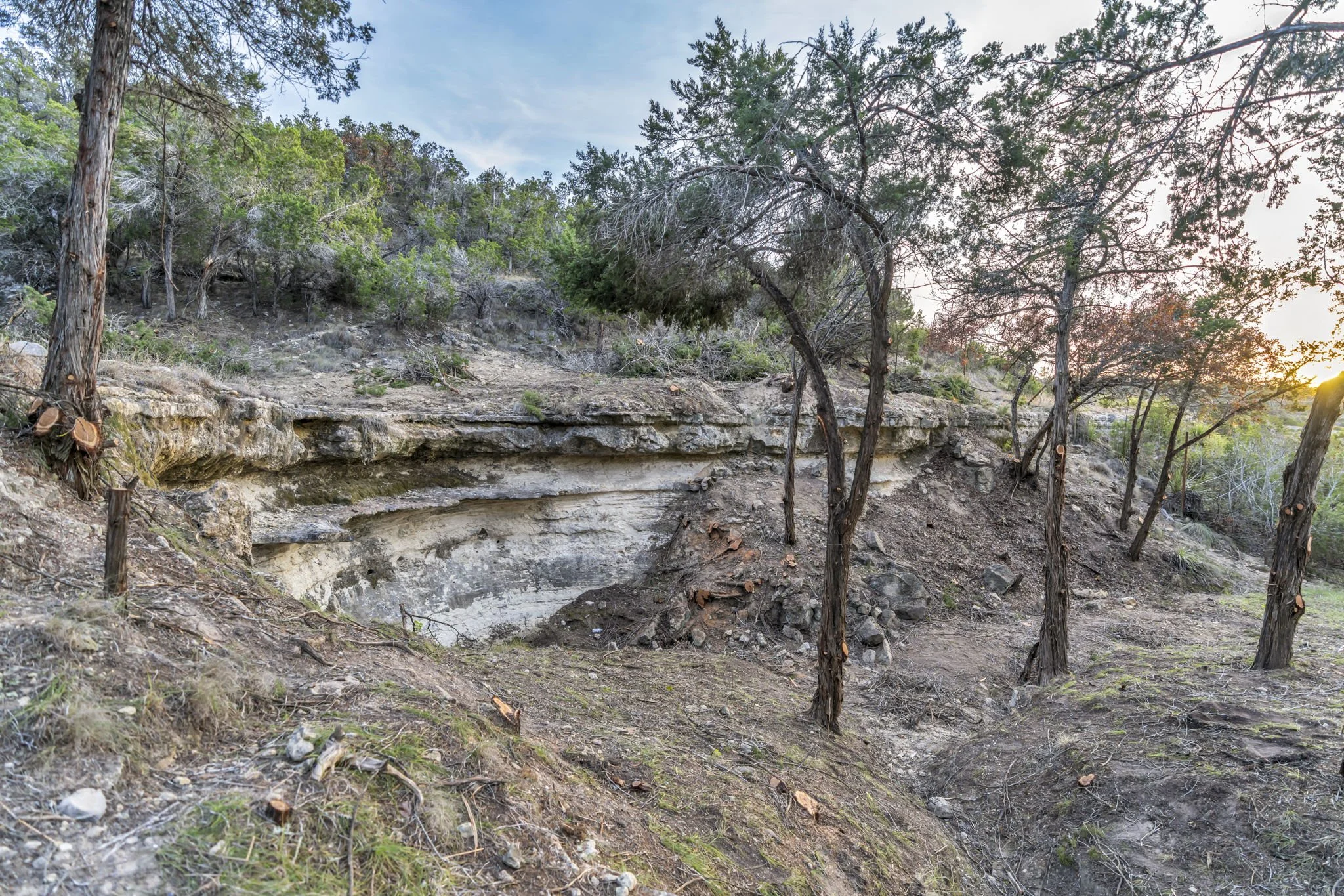A natural landscape with a rocky hillside, sparse trees, and a dirt trail, with sunlight near the horizon.