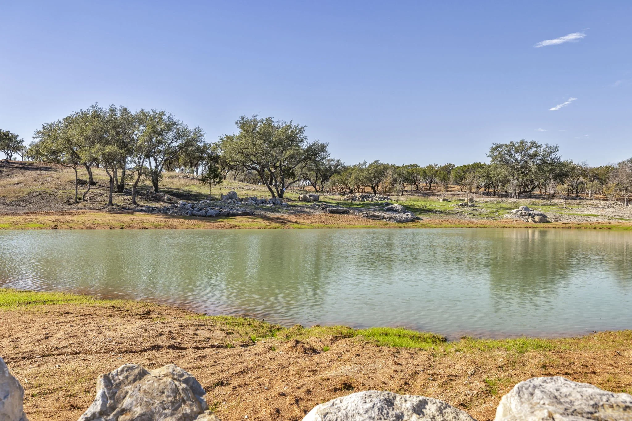A peaceful lake with greenish water, surrounded by natural landscape with several mature oak trees on a hill in the background under a clear blue sky.