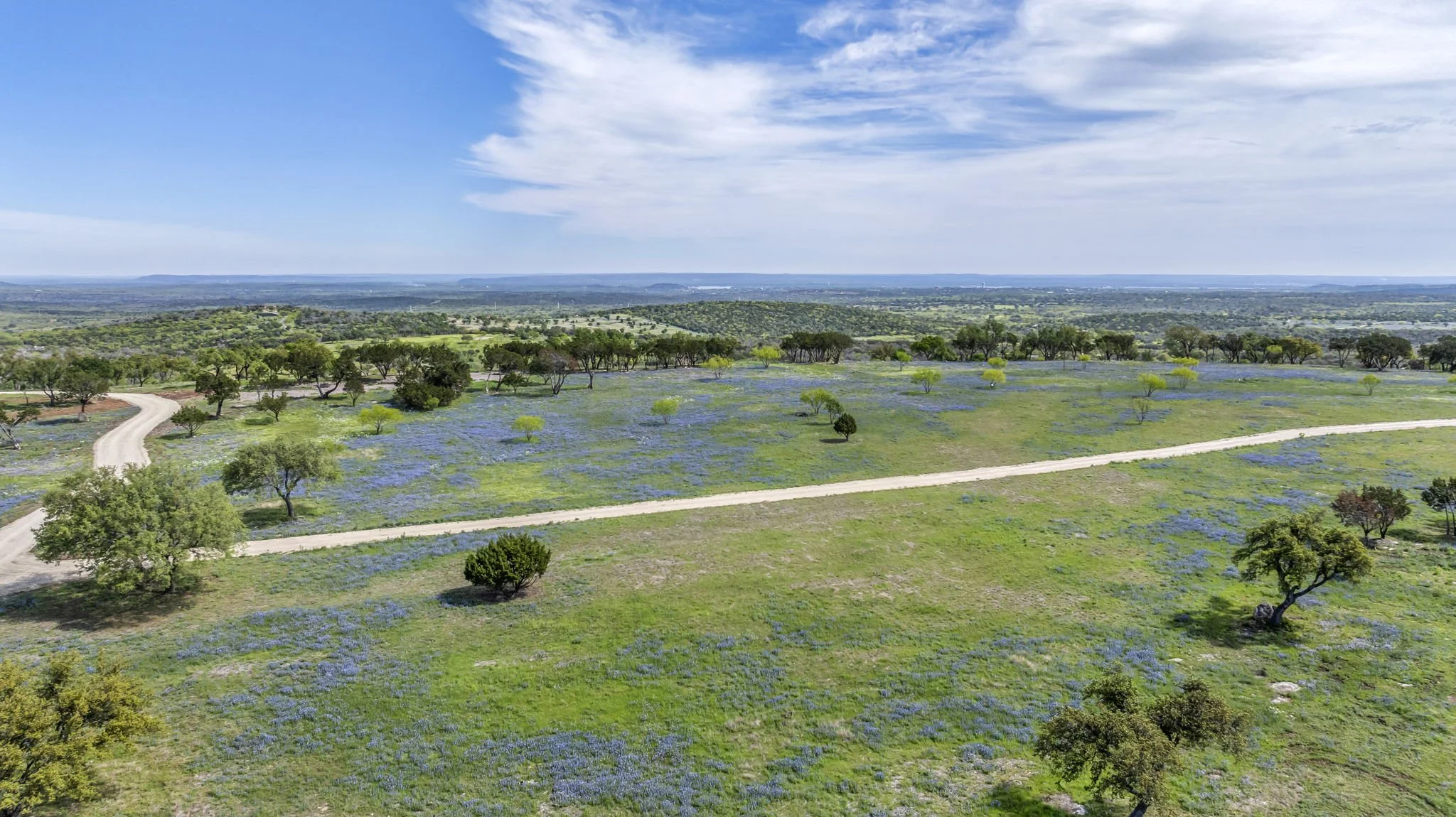 A scenic landscape of rolling green hills with scattered trees and bluebonnets, a dirt road winding through the top of Big Mountain under a partly cloudy blue sky.