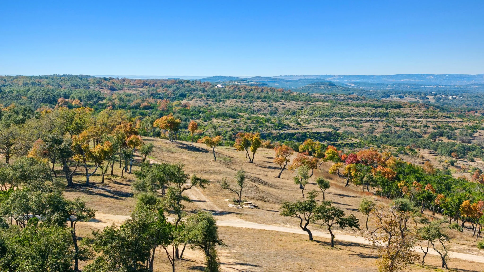 Scenic view of rolling hills with sparse trees and colorful foliage, under a clear blue sky.