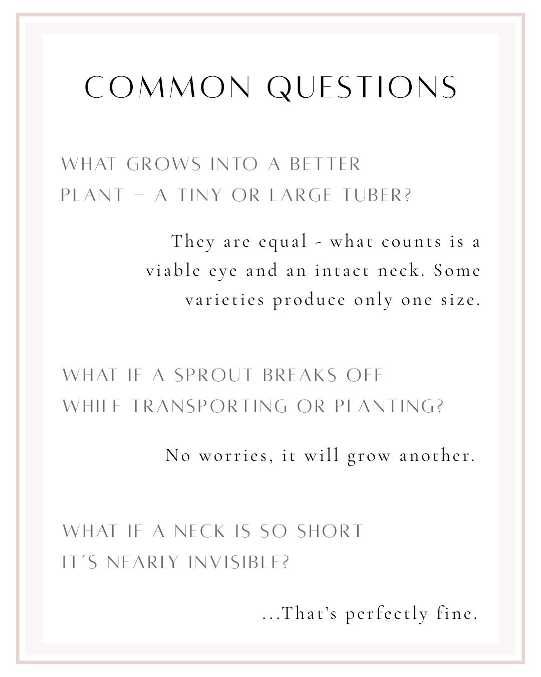 A Guide to Tubers(2).png