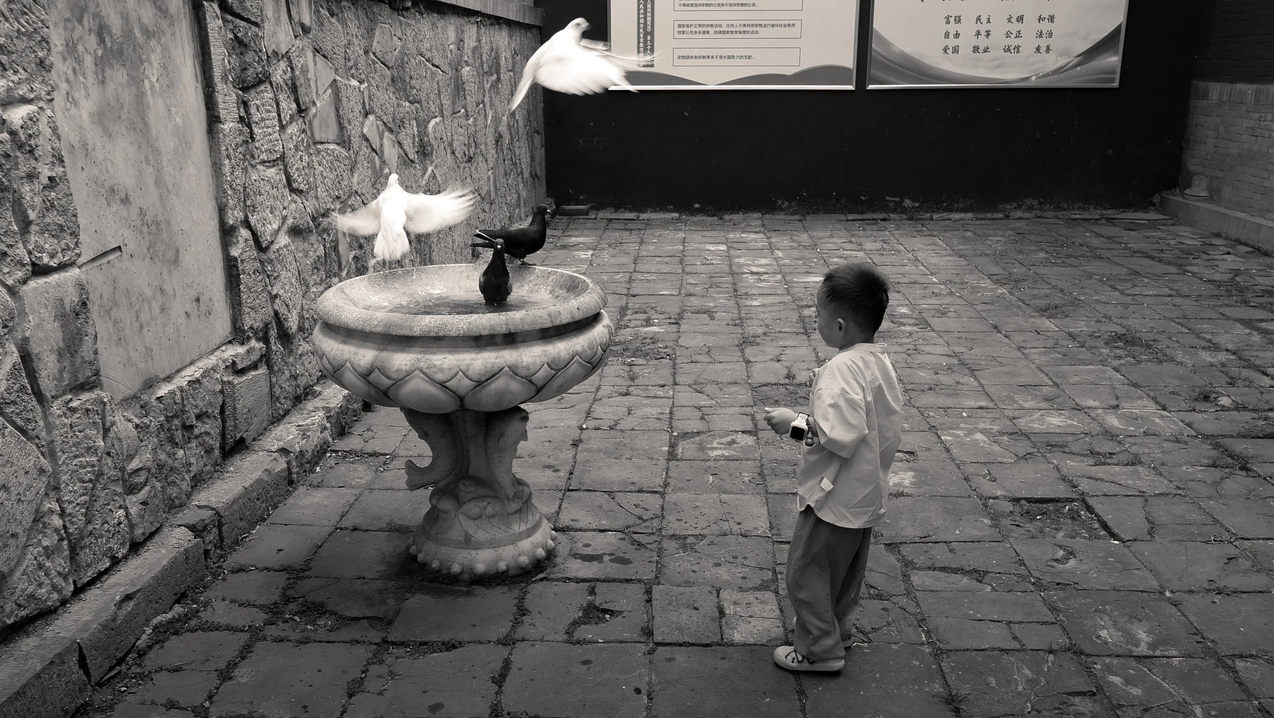 'Untitled'     -     Shaolin Monastery: Henan, China