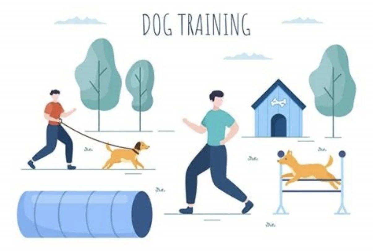 Advanced Dog Training