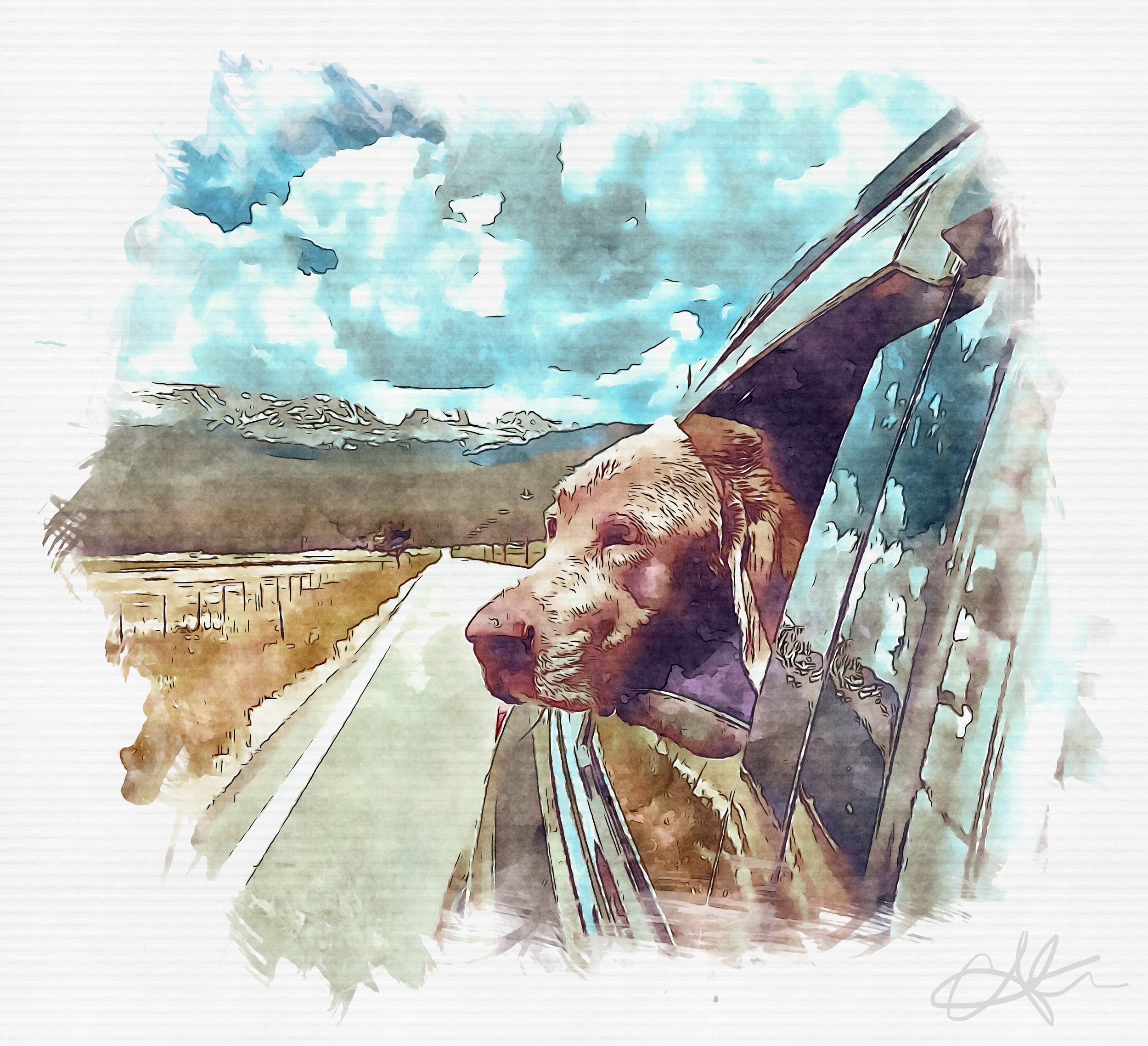 Custom Watercolor Pet Portrait