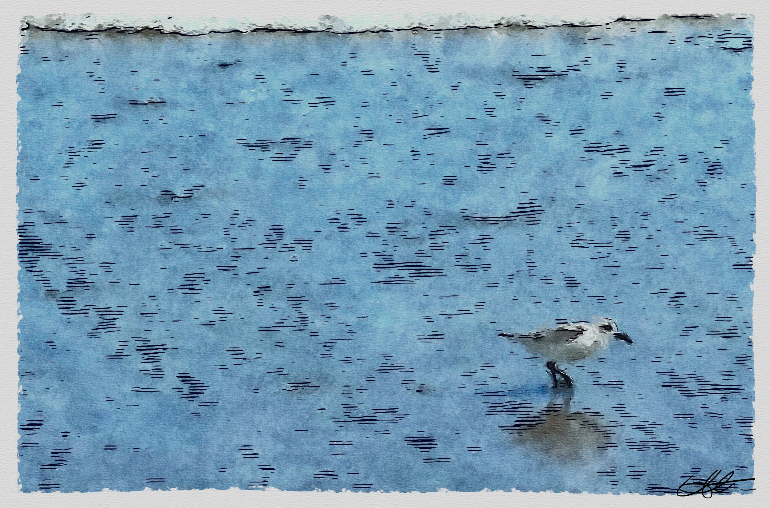 Dancing Bird Watercolor Print