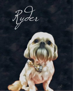 Custom Pet Oil Painting