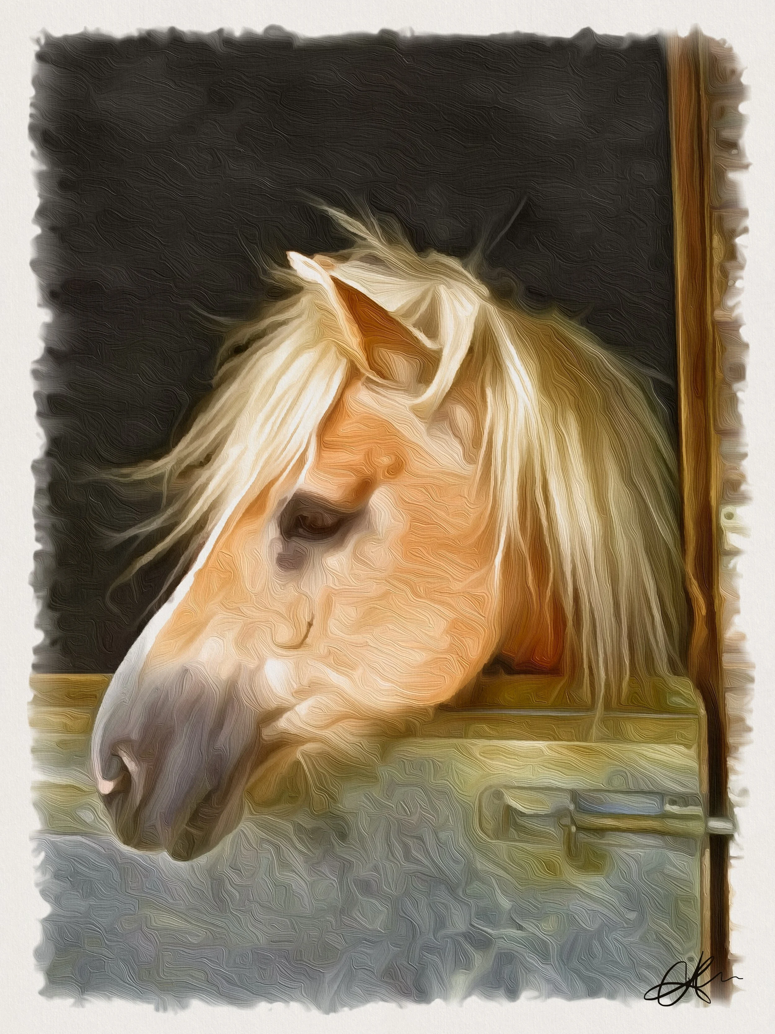 BeCasso-Nov 15, 2025 at 8-07-58 PM.JPG