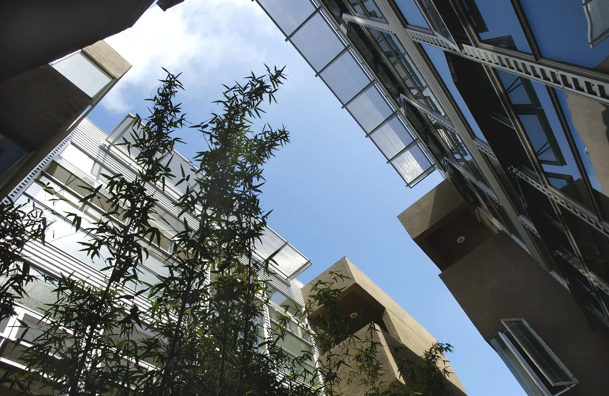 15-Grand Courtyard Up.jpg