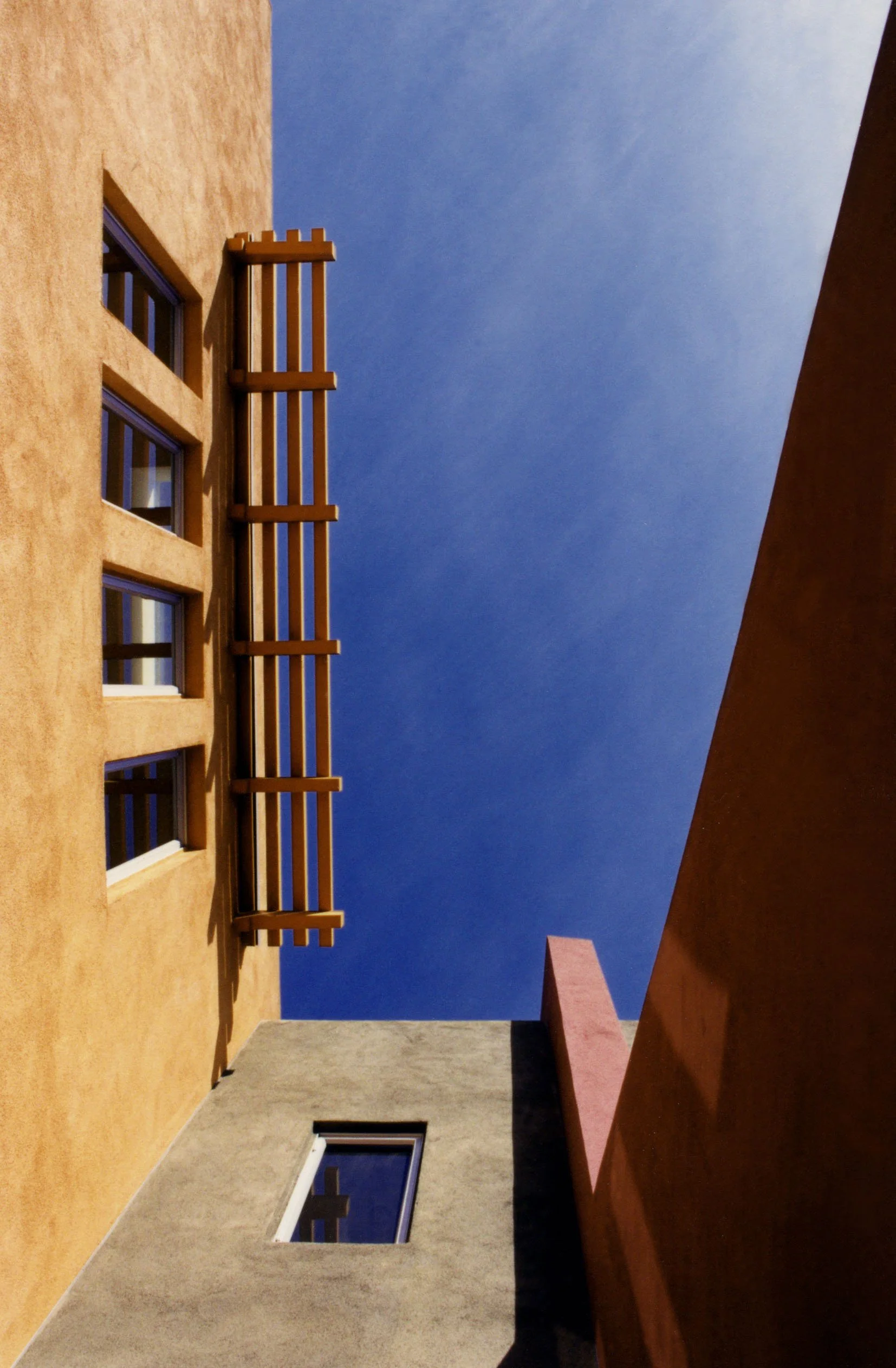 C-Albany Trellis Up.jpg