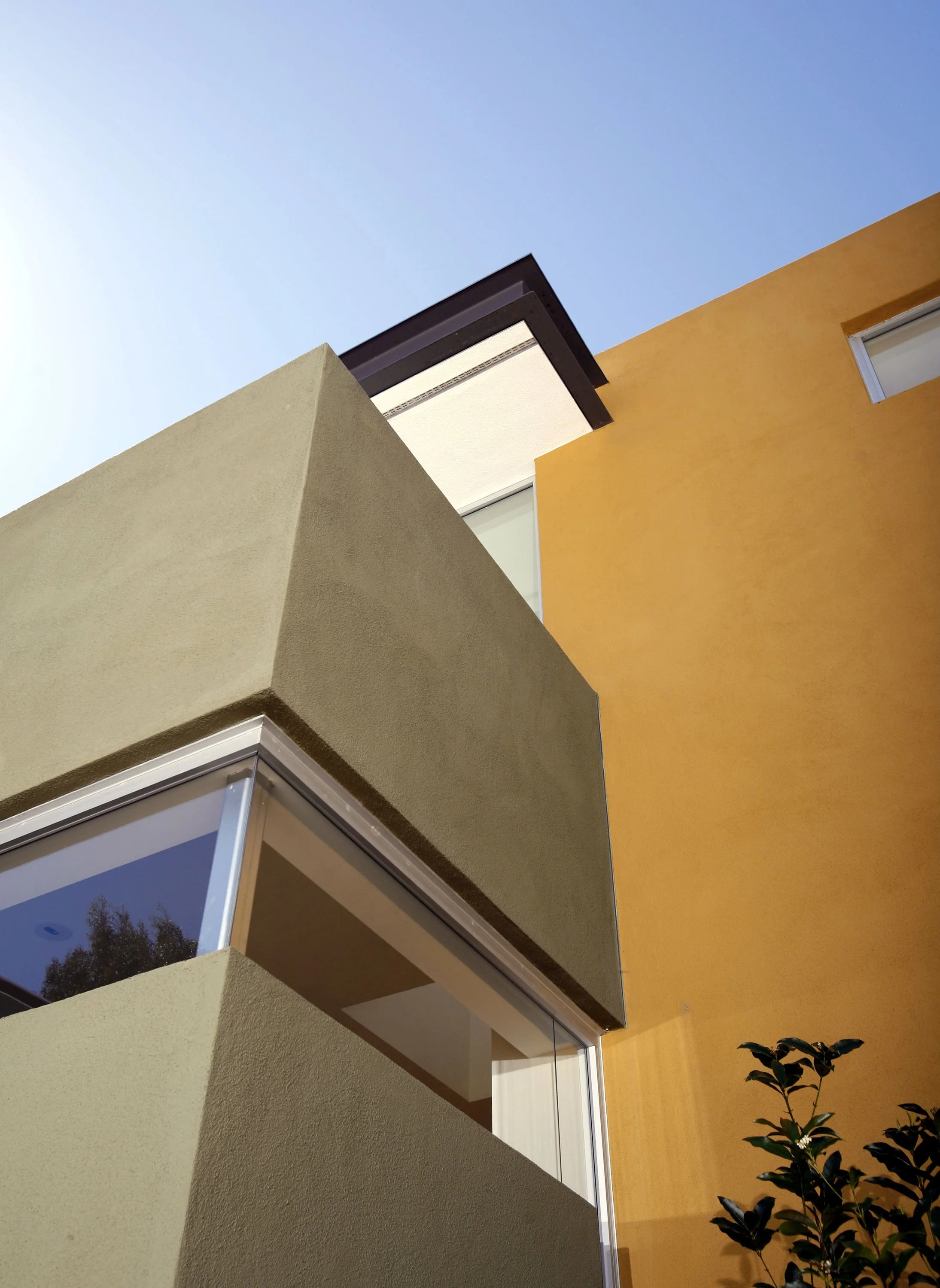 N-Arbor Dell Distorted Up.jpg