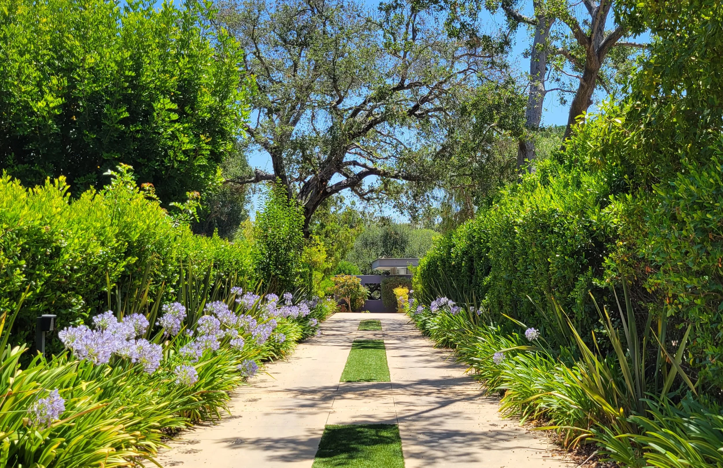 Glen Summer Ex. Front 1.jpg