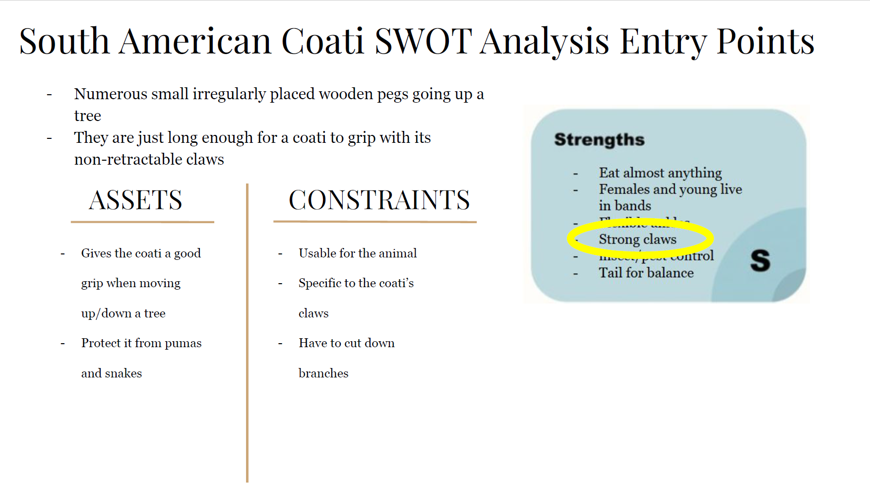 Screenshot 2026-01-25 182648.png