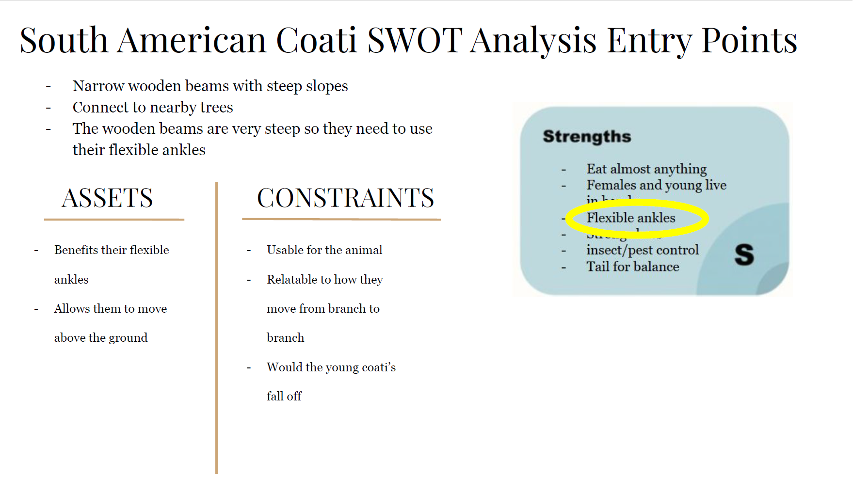 Screenshot 2026-01-25 182620.png