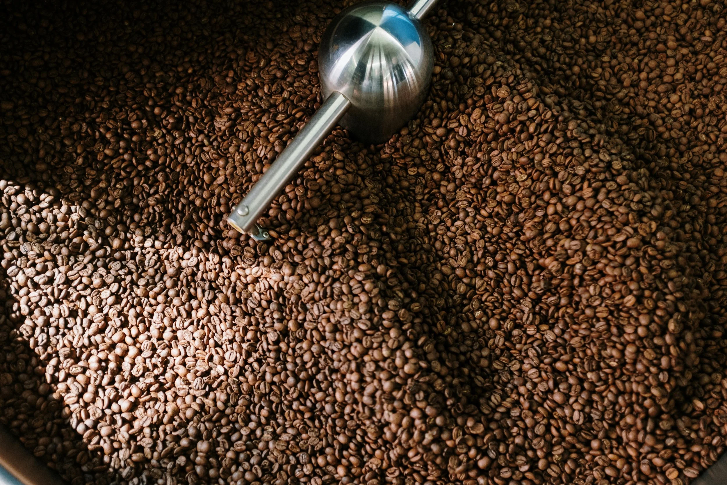 The Science of Patience: Why Your Coffee Needs to Rest After Roasting