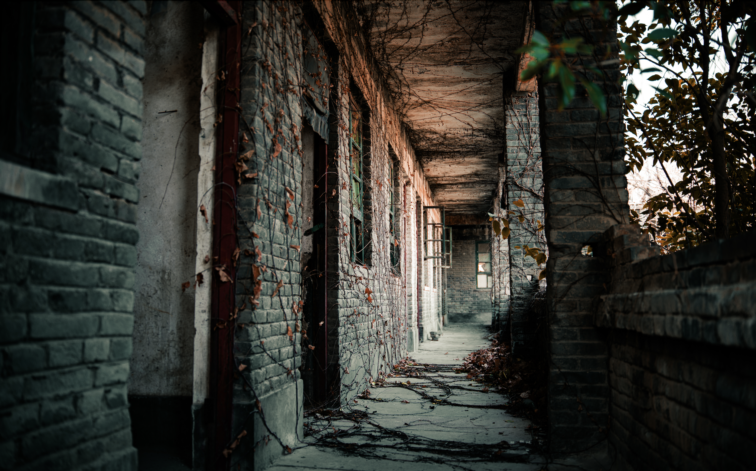 When No One Passes Through