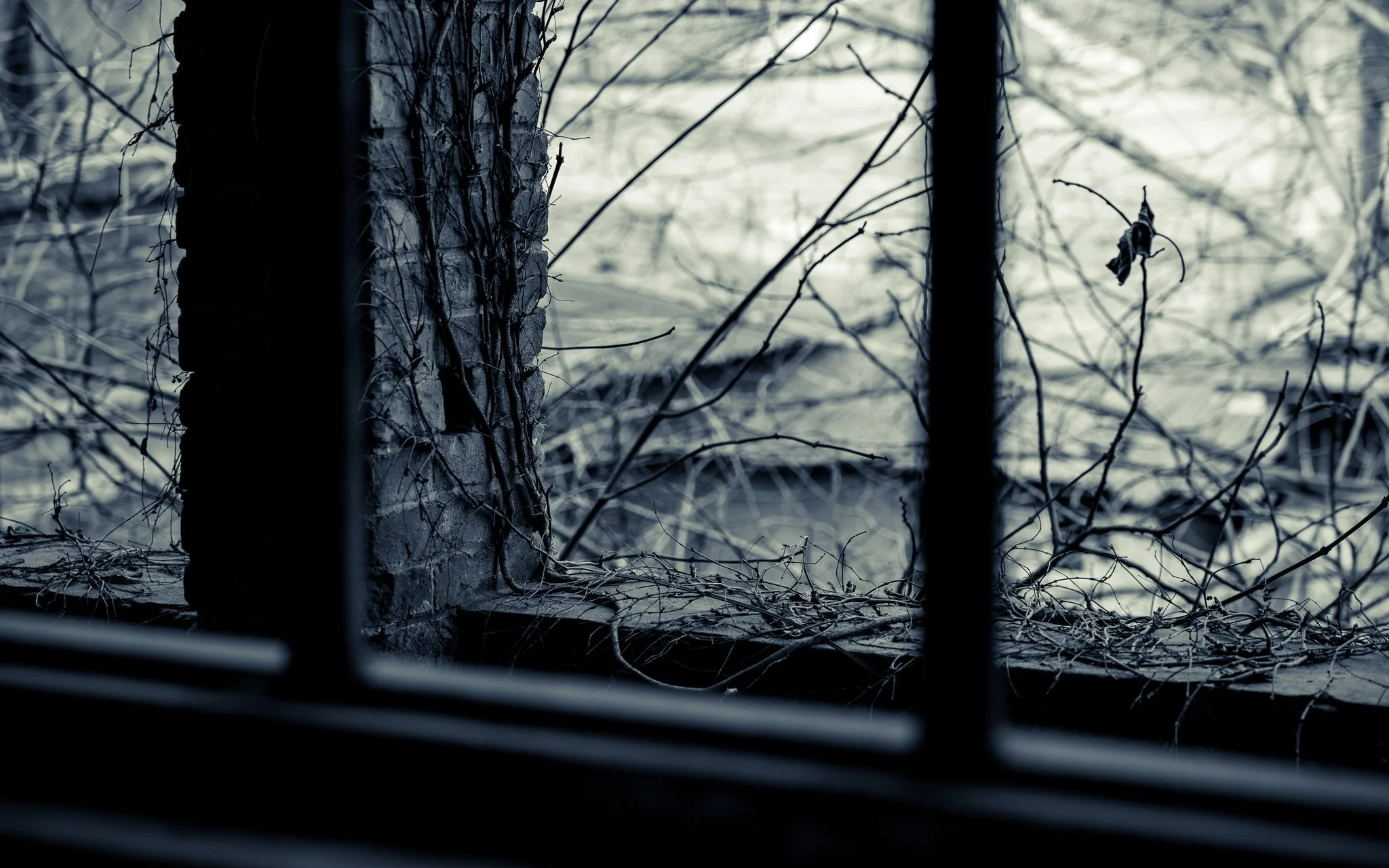 After the Frame Fell Silent