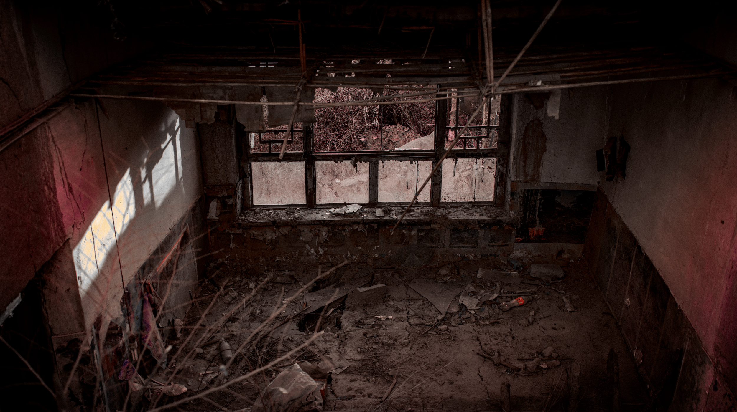 After the Roof Fell Silent