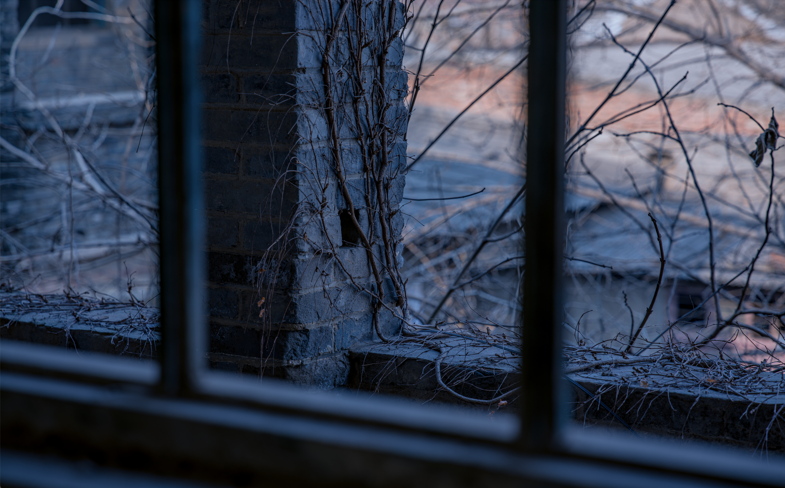 The Outside Is Still There