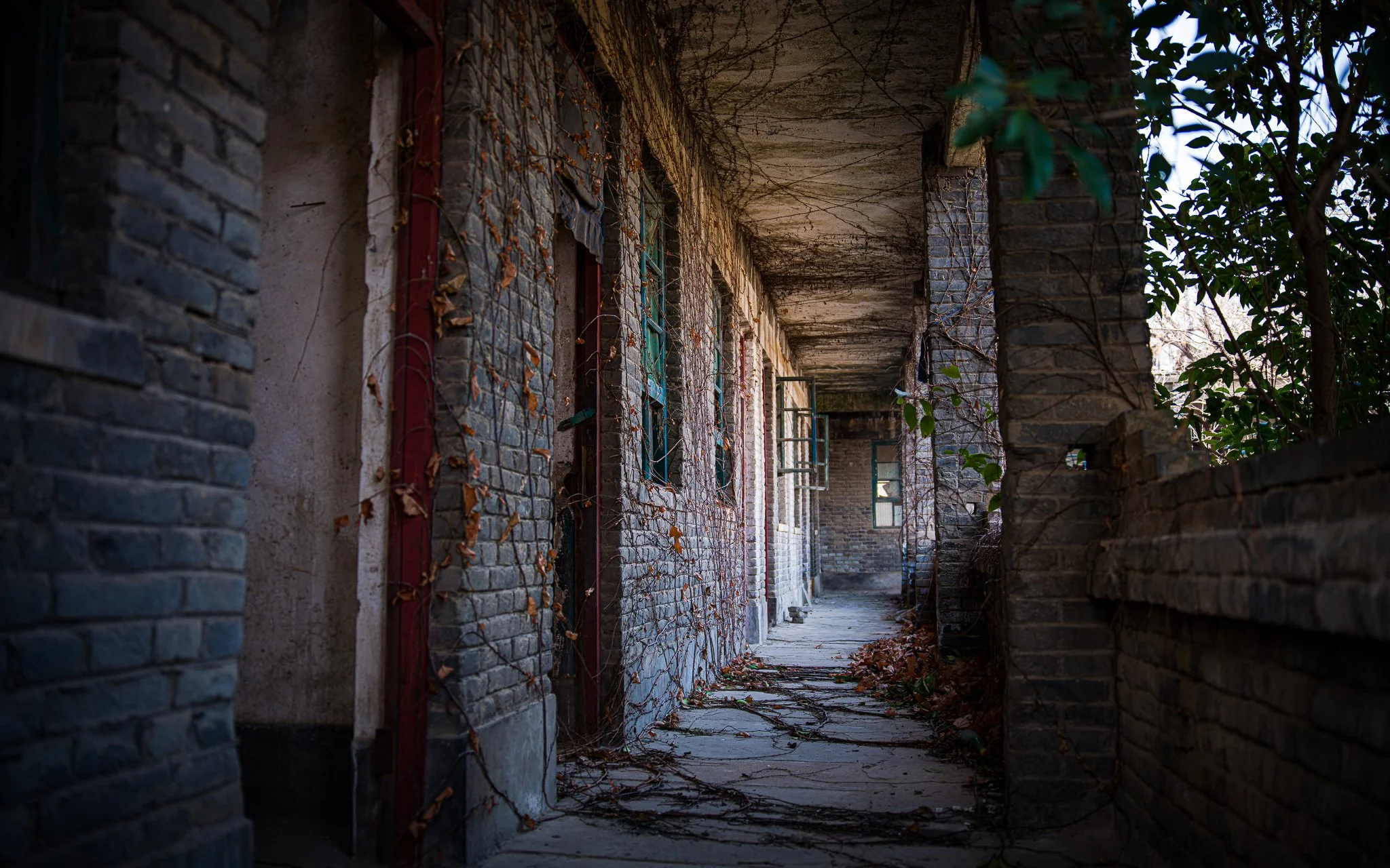 When No One Passes Through