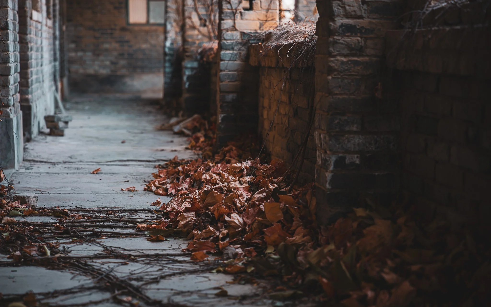 What Time Leaves Behind