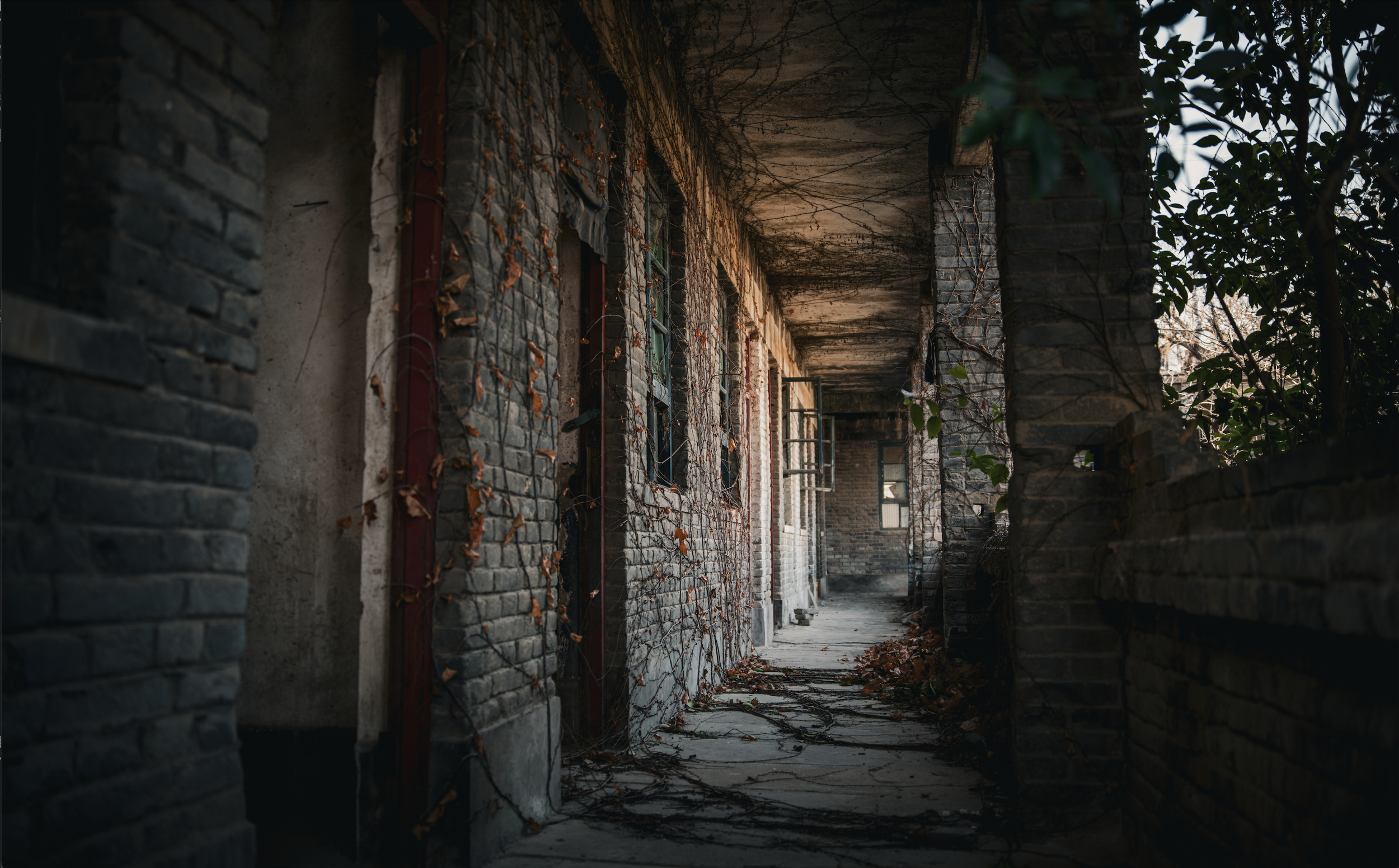 When No One Passes Through