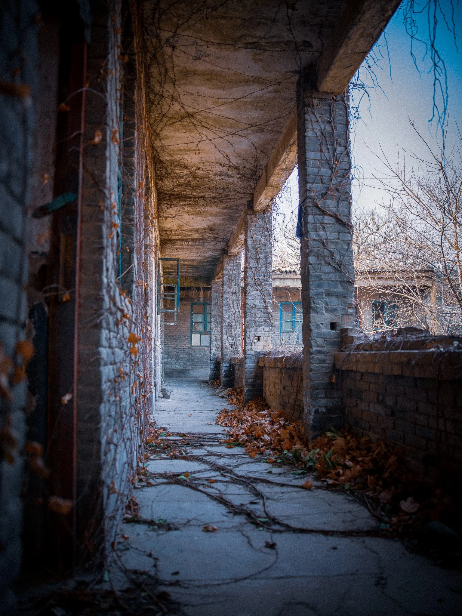 The Corridor Keeps Time