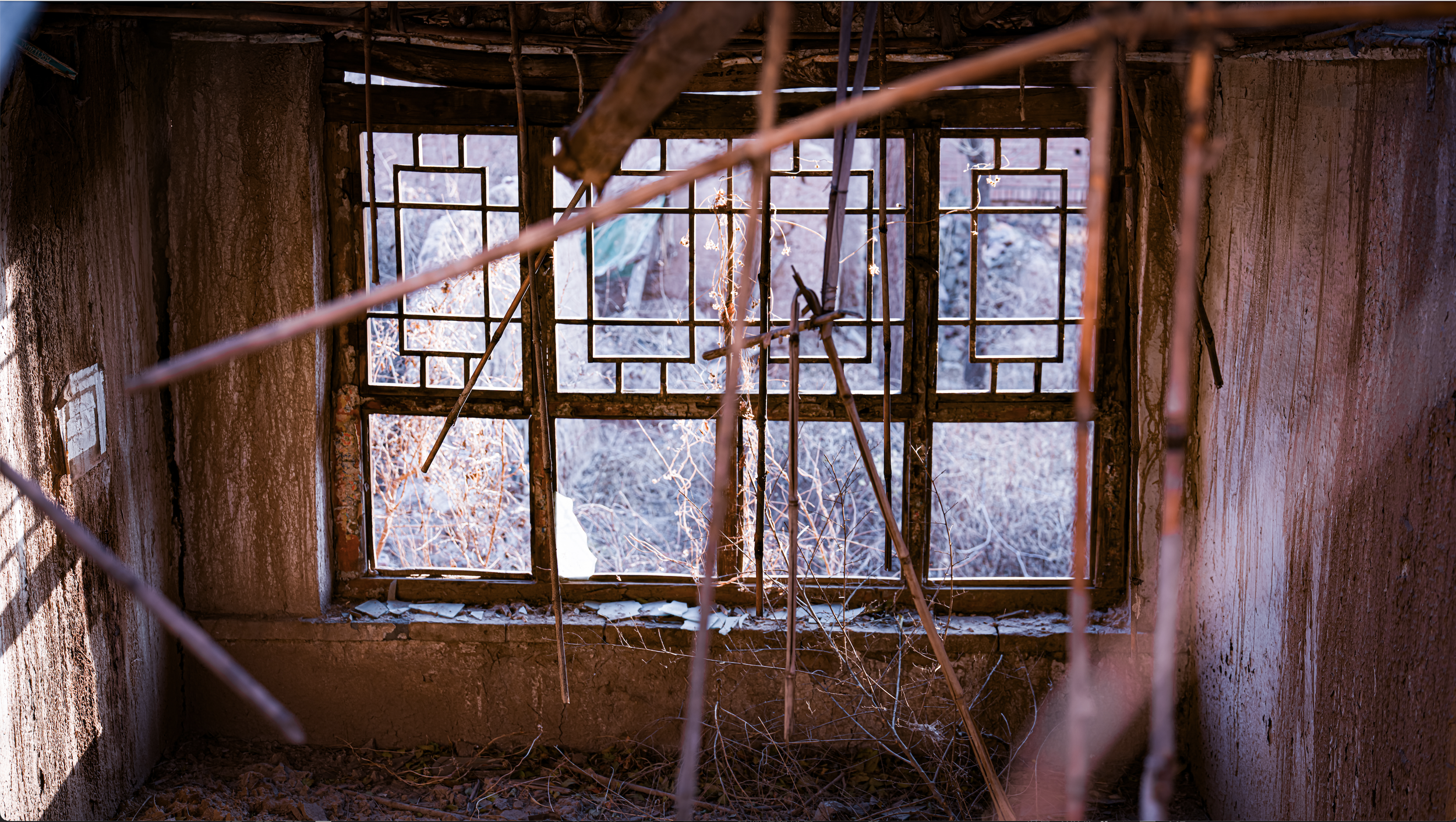 The Window That Forgot the Room