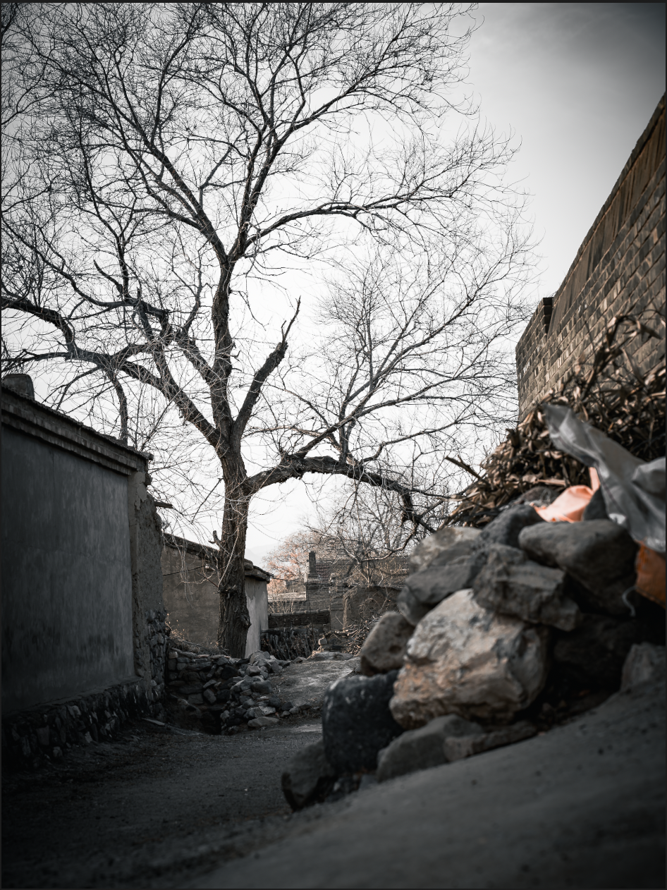 The Path That No Longer Leads