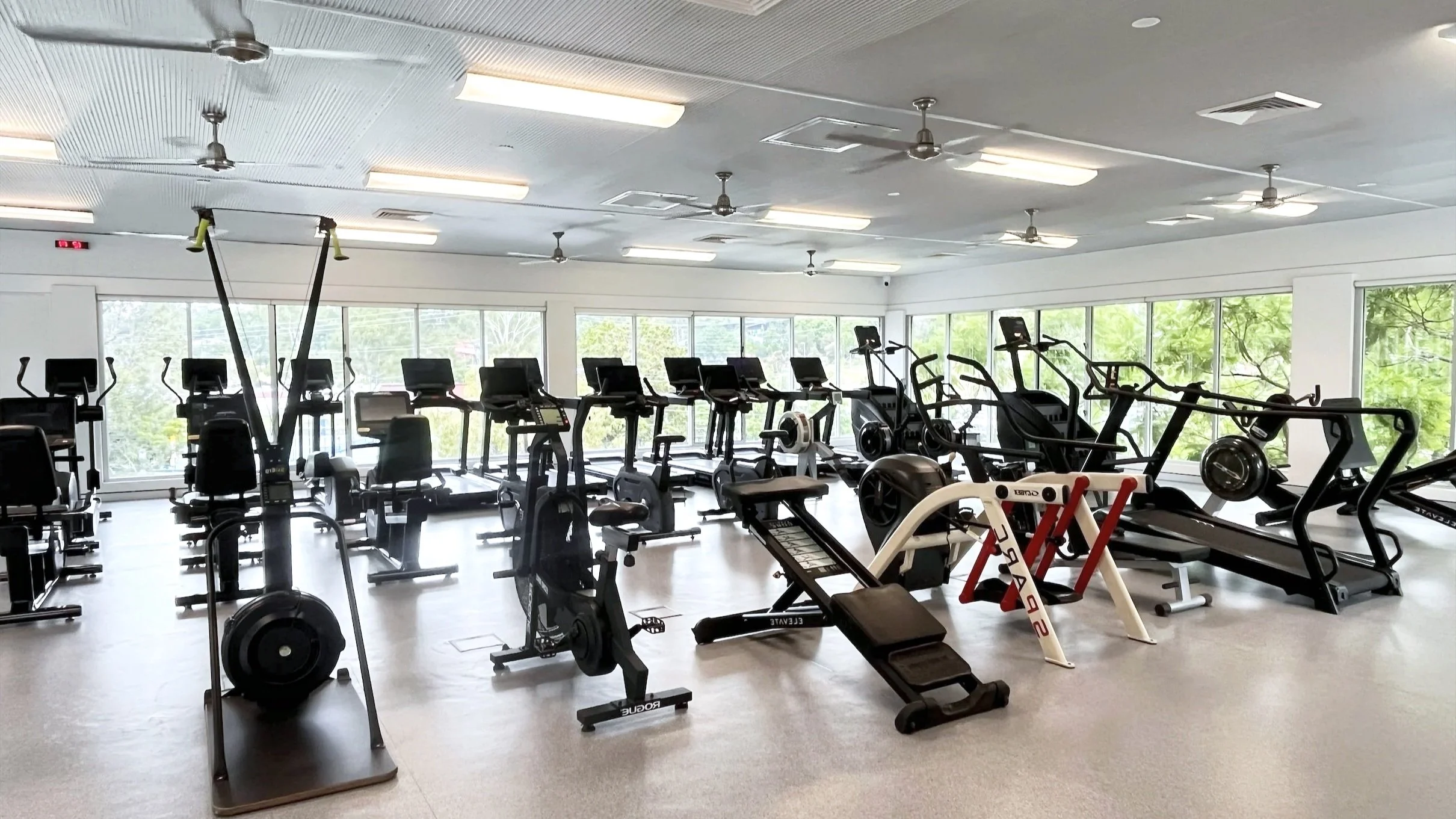 Specialised Cardio Zone: Sweeping treetop views, plenty of natural light and an expansive selection of the latest cardio equipment. 