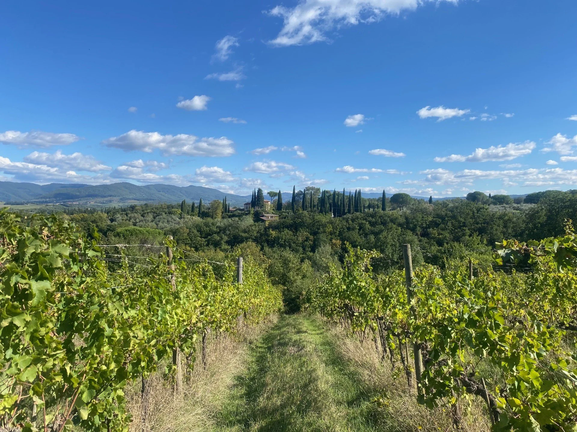 Ciao, Buongiorno, Buonasera, Salve!