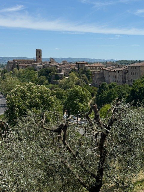 La bellissima Colle Val d'Elsa - one of those hidden Tuscan gems