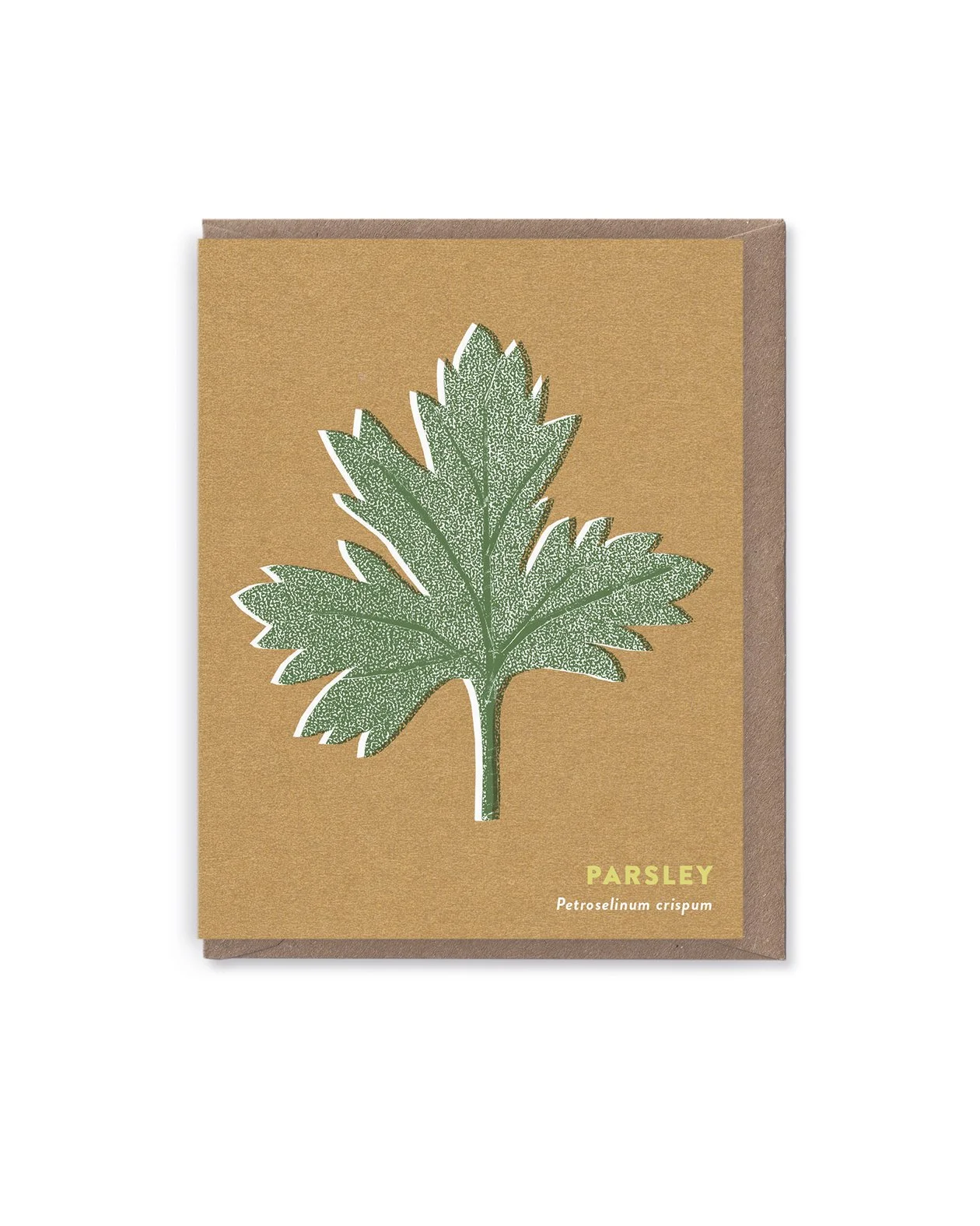Parsley card
