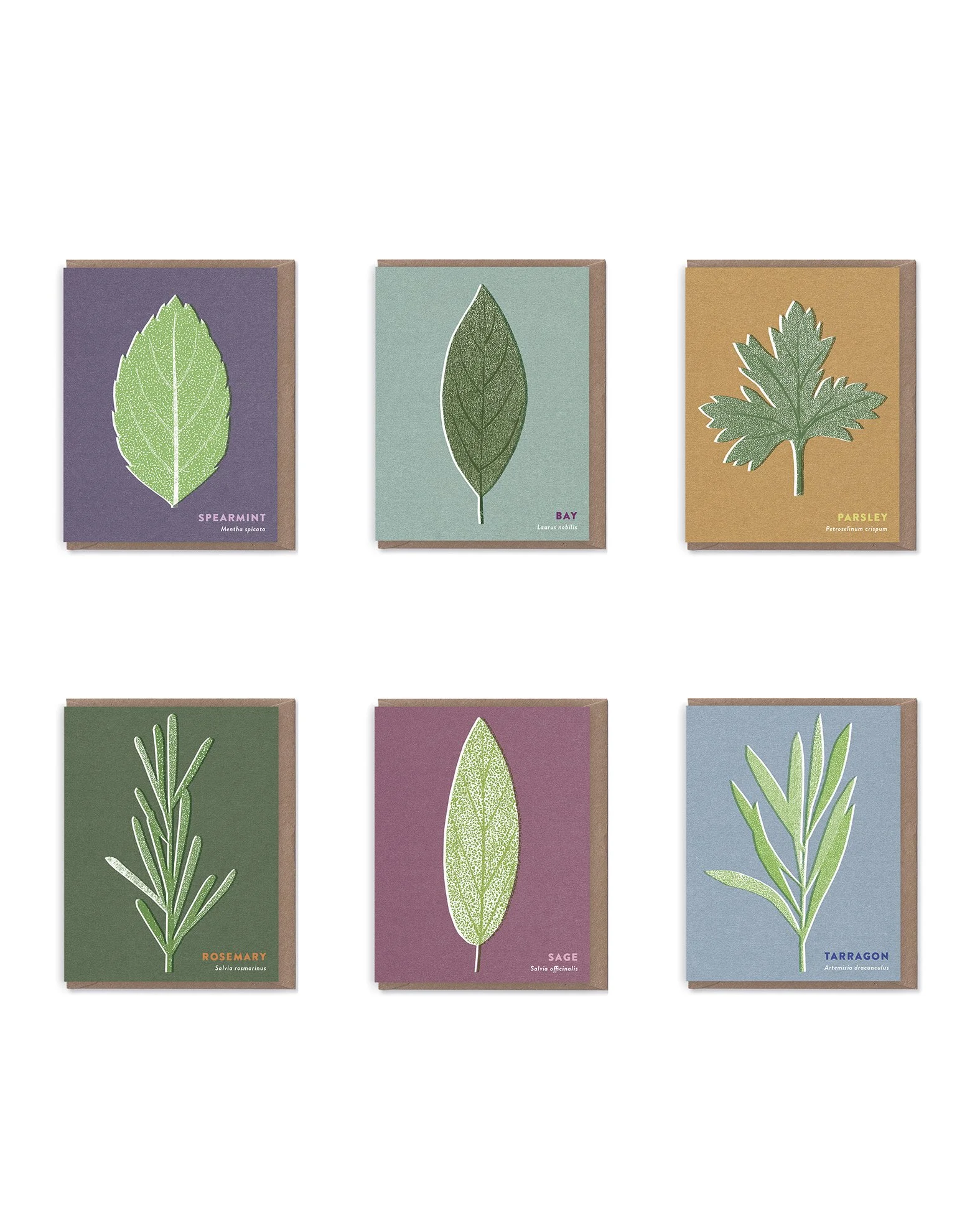 Herb Bundle