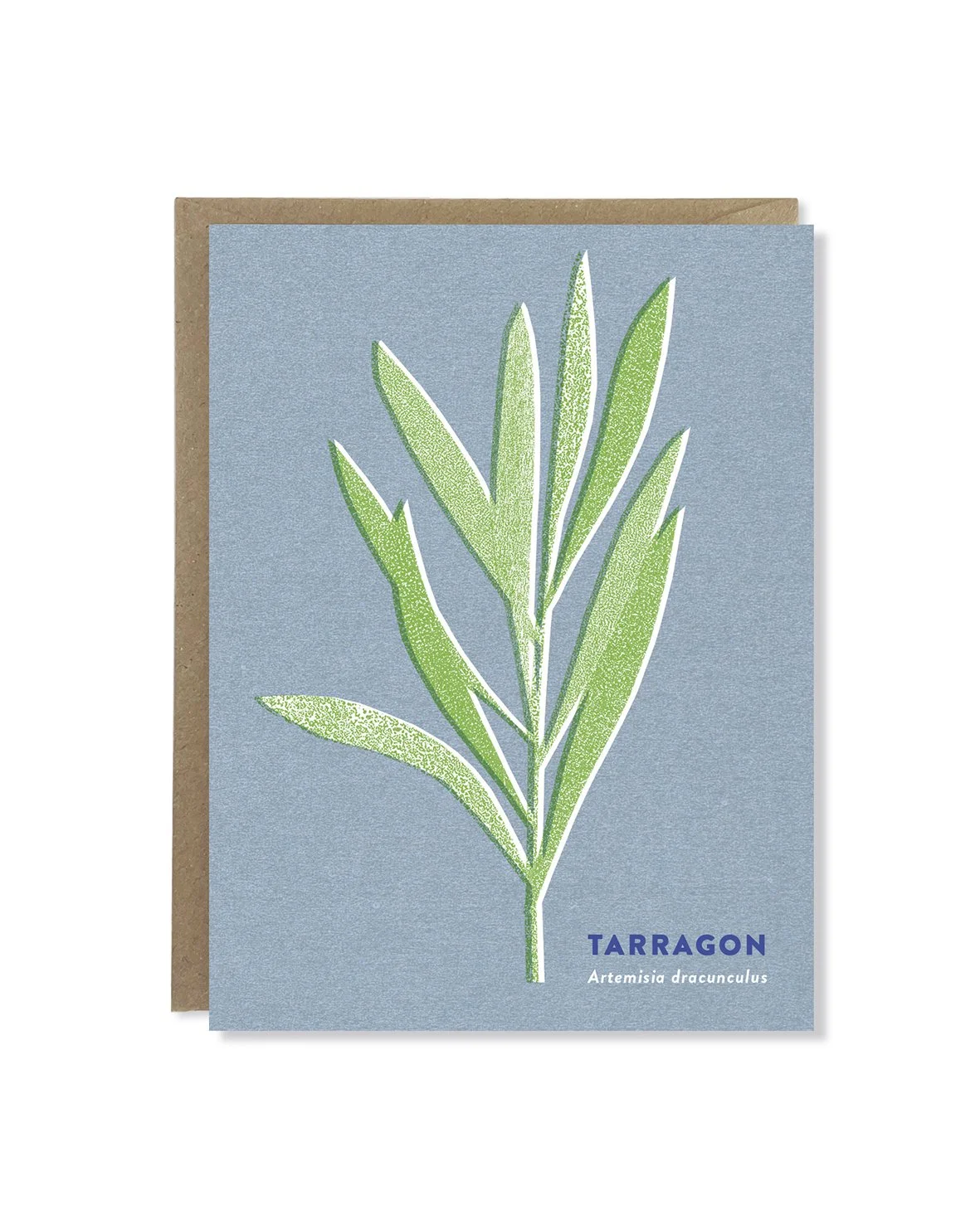 Tarragon Leaf card