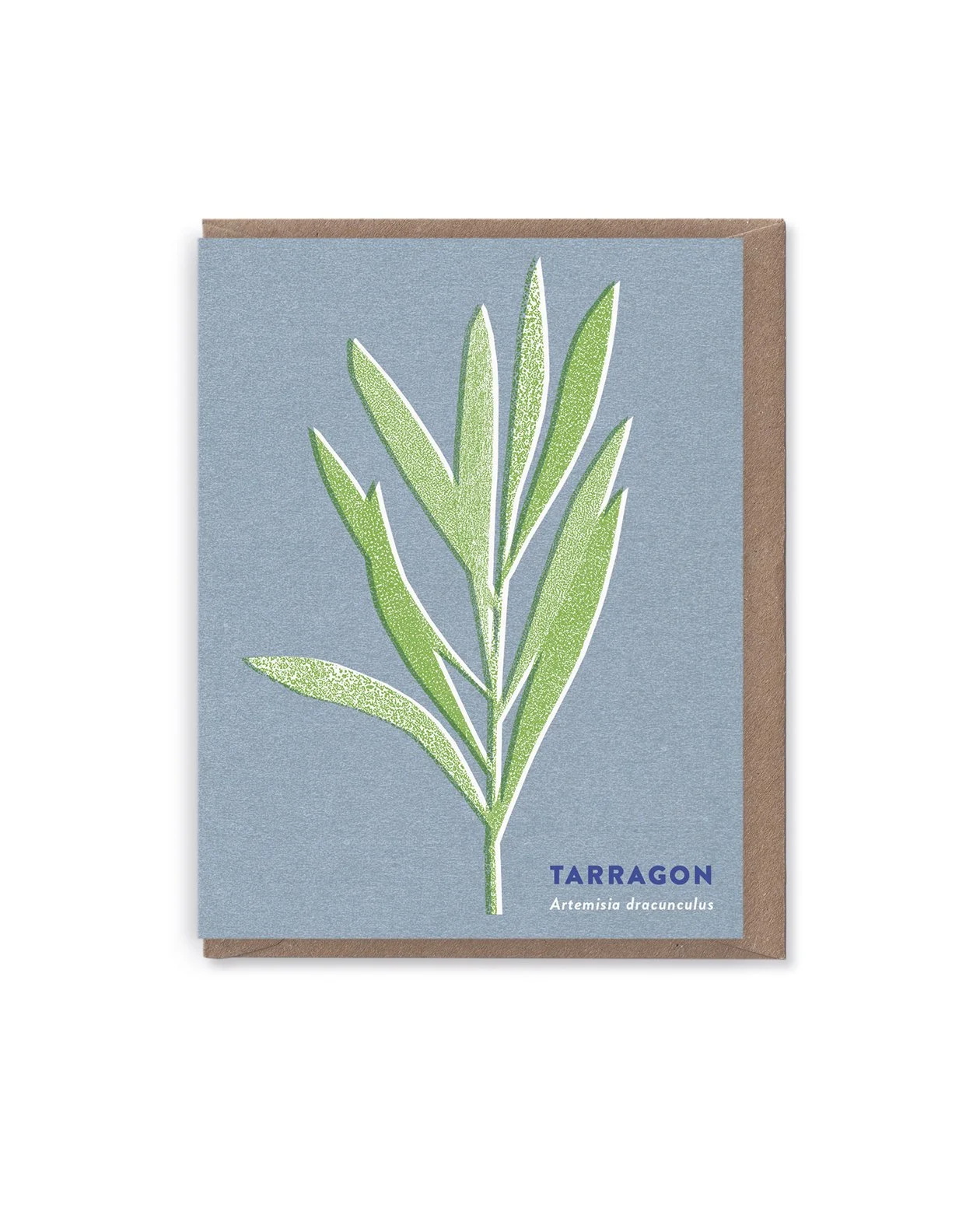 Tarragon Leaf card