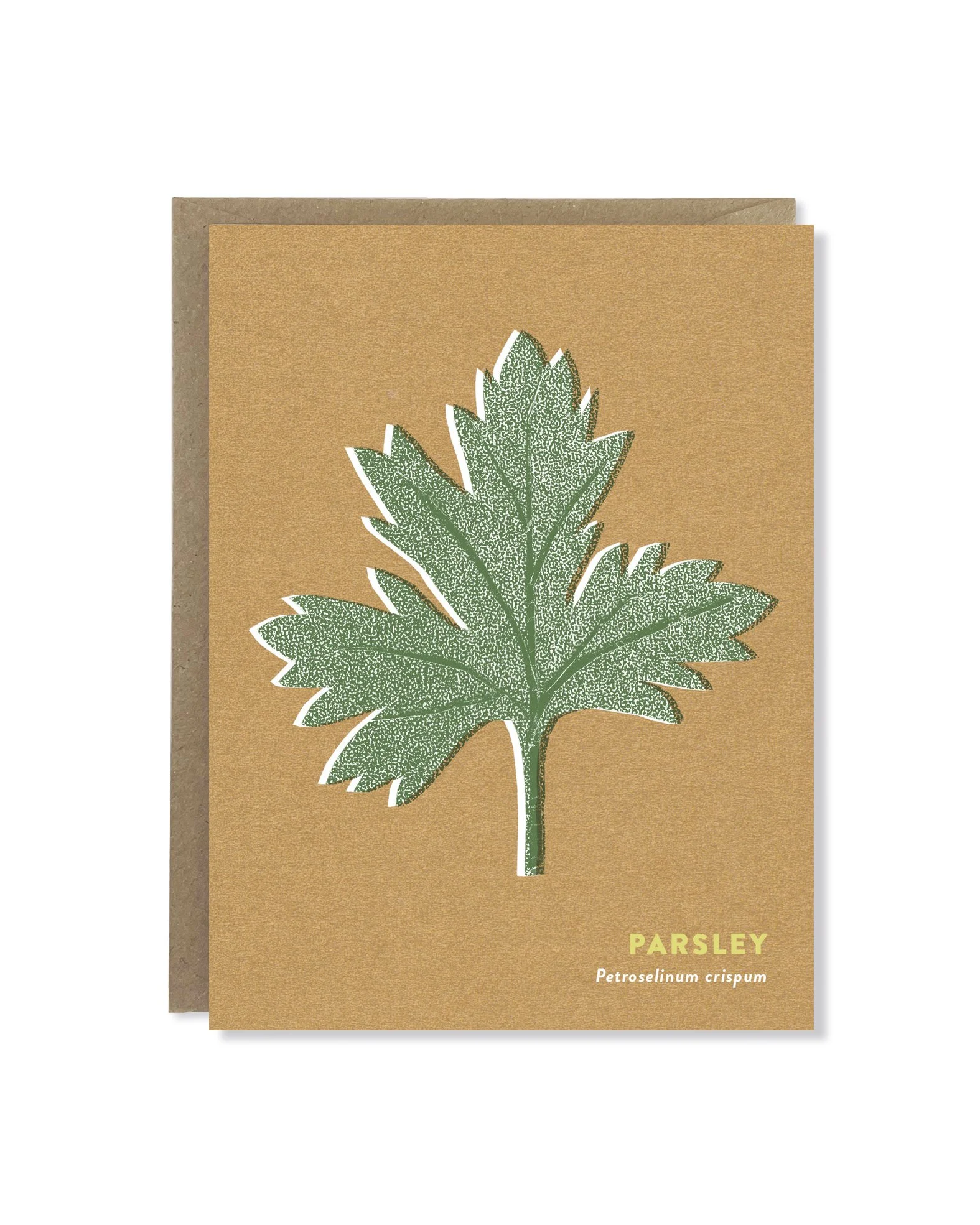 Parsley card