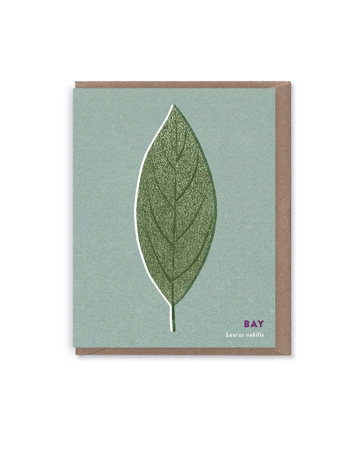 Bay Leaf card