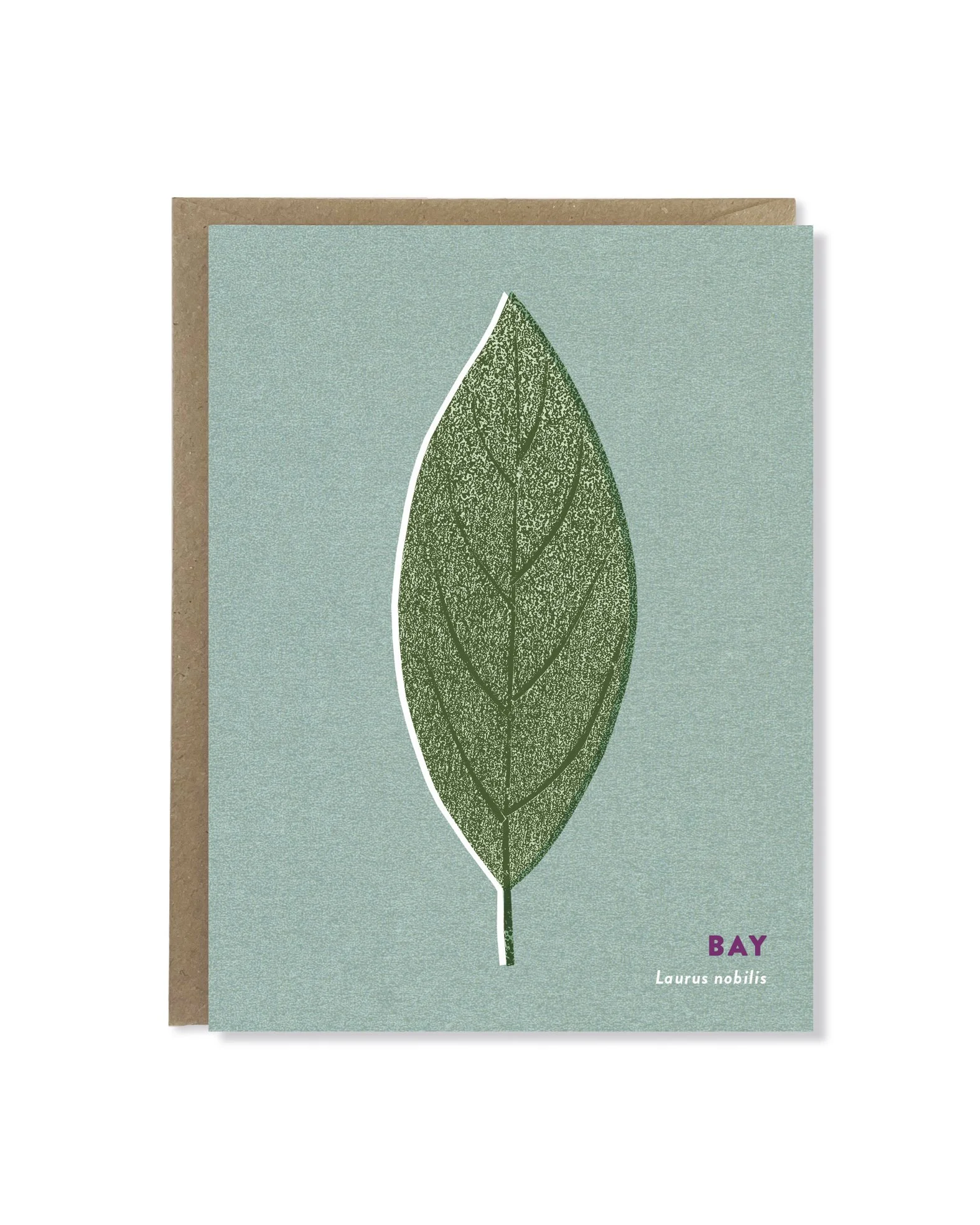 Bay Leaf card