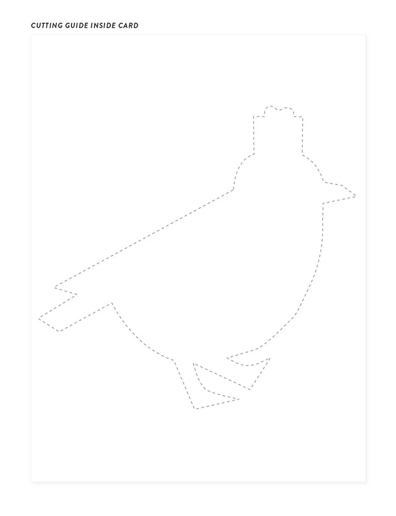 Christmas_card_middle-Robin.jpg (Copy)